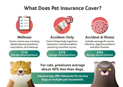 pet insurance that starts immediately